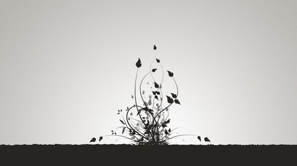 韩语教程零基础
