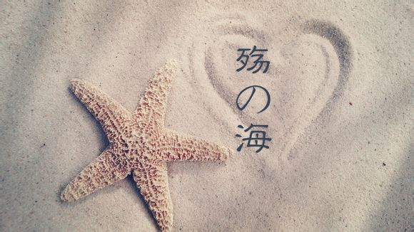 极速精简版新版本
