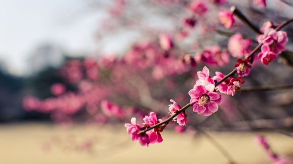 苹果手机锁屏壁纸怎么设置电量