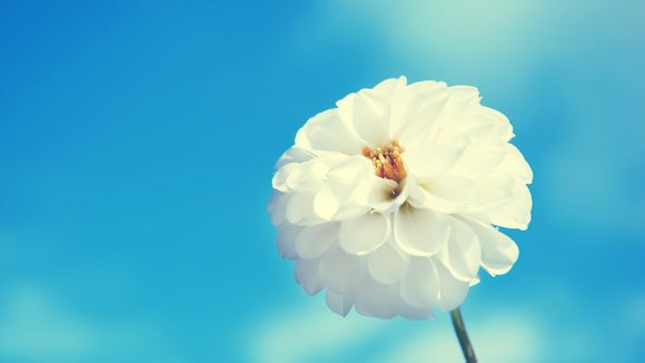 电池修复软件的原理是什么意思