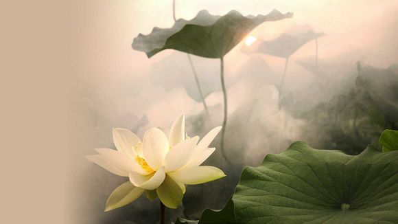 波比的游戏时间手机版第三章移植版最新版